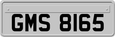 GMS8165