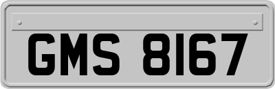 GMS8167