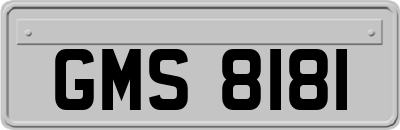 GMS8181