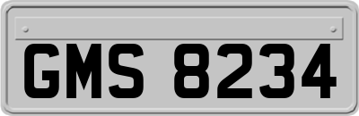 GMS8234