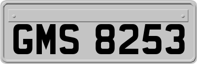 GMS8253