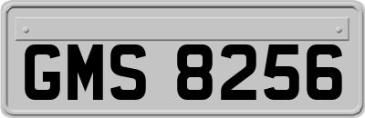 GMS8256