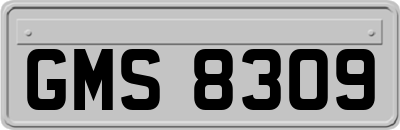 GMS8309