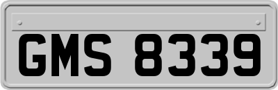 GMS8339