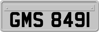 GMS8491