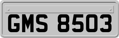 GMS8503