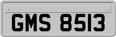 GMS8513