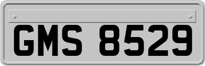GMS8529