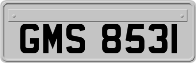 GMS8531