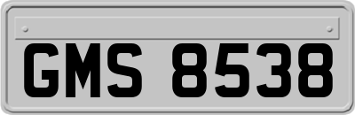 GMS8538
