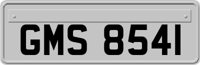 GMS8541