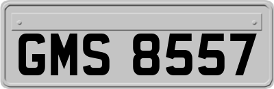 GMS8557