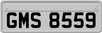 GMS8559