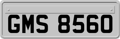GMS8560