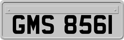 GMS8561