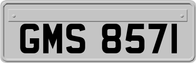 GMS8571