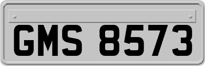 GMS8573