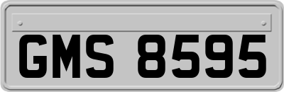 GMS8595