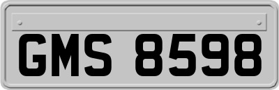 GMS8598