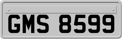 GMS8599