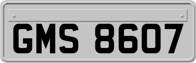 GMS8607