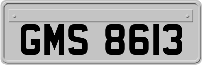 GMS8613