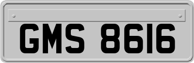 GMS8616