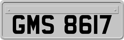 GMS8617