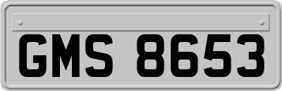 GMS8653