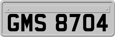 GMS8704