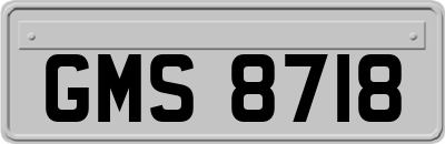 GMS8718