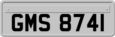 GMS8741