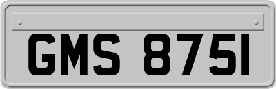 GMS8751