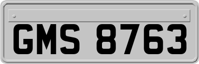 GMS8763
