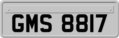 GMS8817
