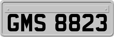 GMS8823