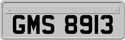 GMS8913