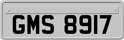 GMS8917