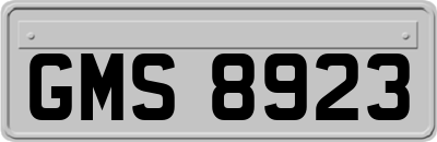 GMS8923