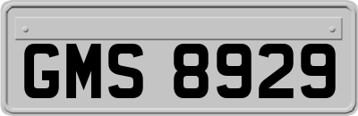 GMS8929