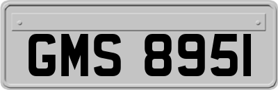GMS8951