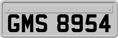 GMS8954