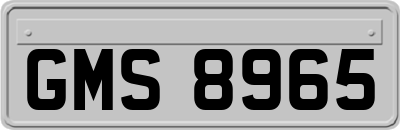 GMS8965