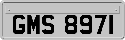 GMS8971