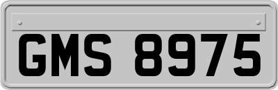 GMS8975