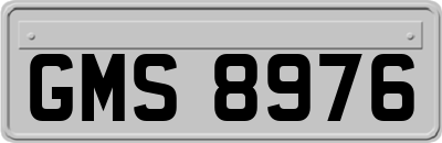 GMS8976