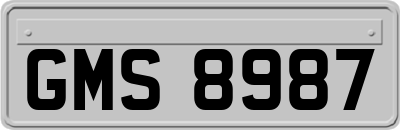 GMS8987