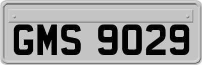 GMS9029