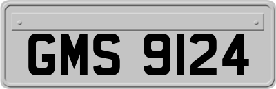 GMS9124