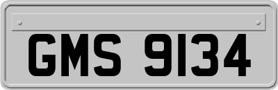 GMS9134